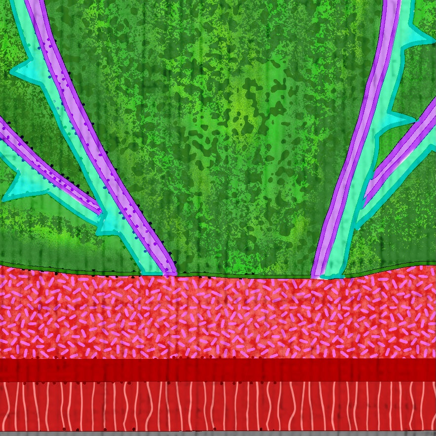 Agave Quartet