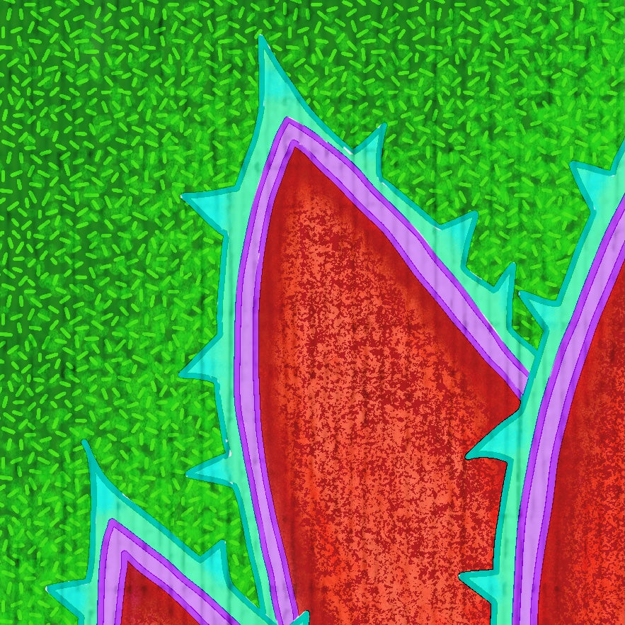 Agave Quartet