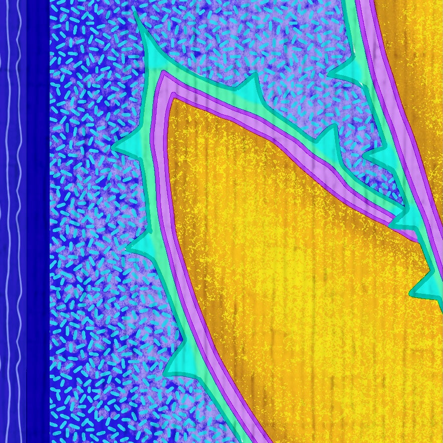 Agave Quartet